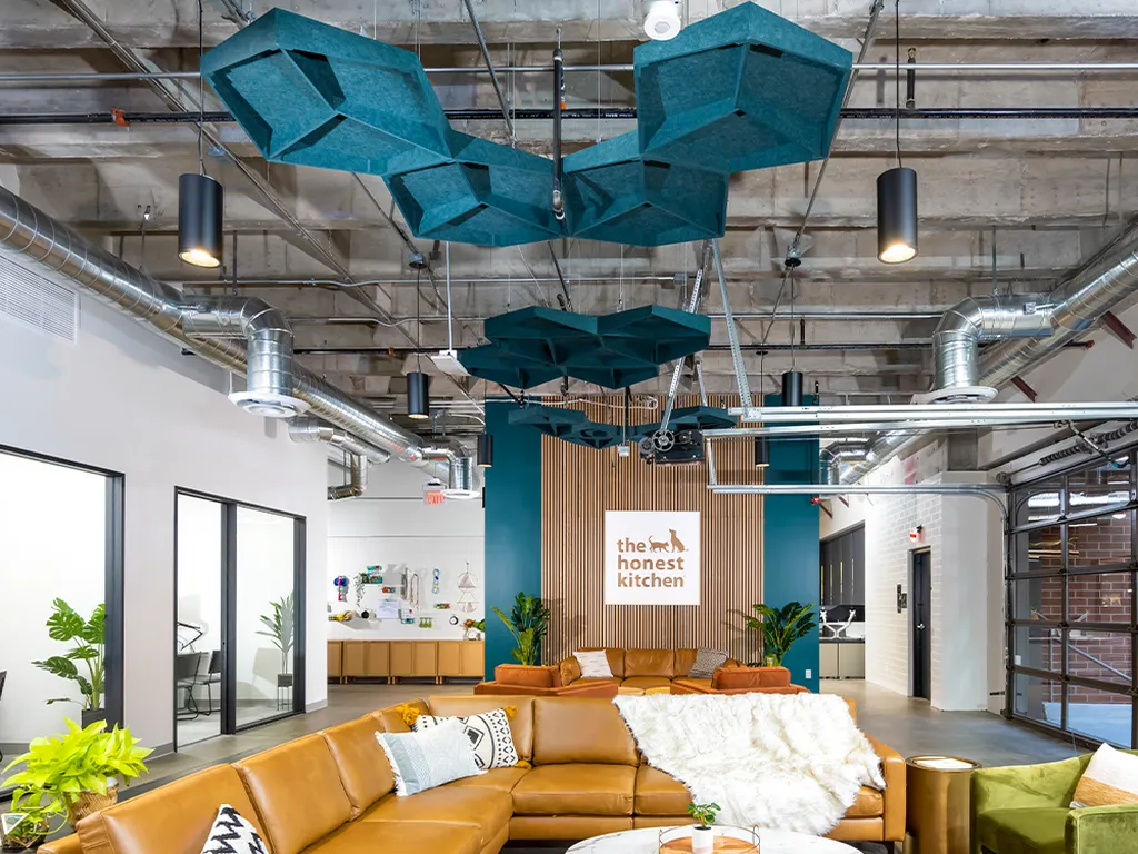 3D Hex Clouds | Color: Ivy | Installed at The Honest Kitchen offices in San Diego, CA
