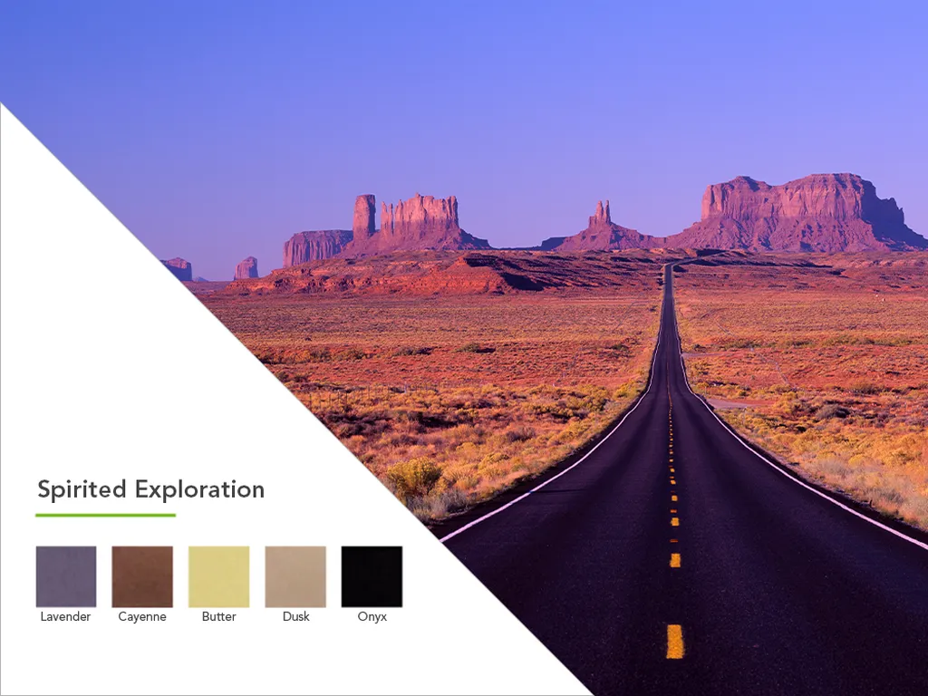 Spirited Exploration Color Palette