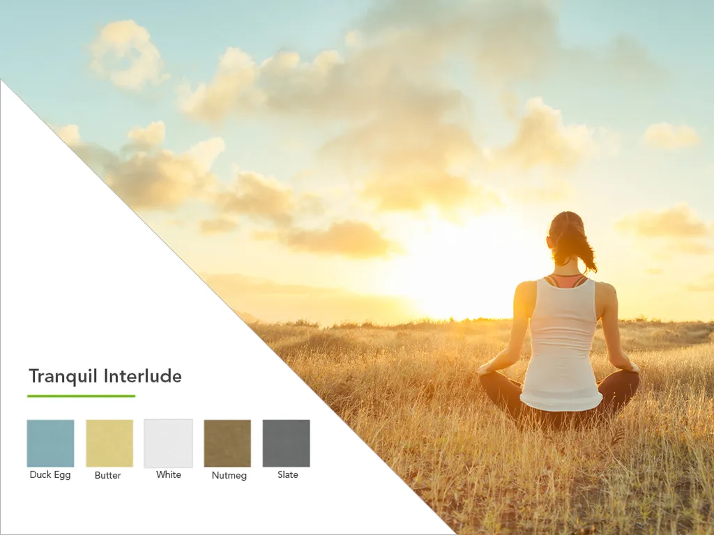 Tranquil Interlude Color Palette