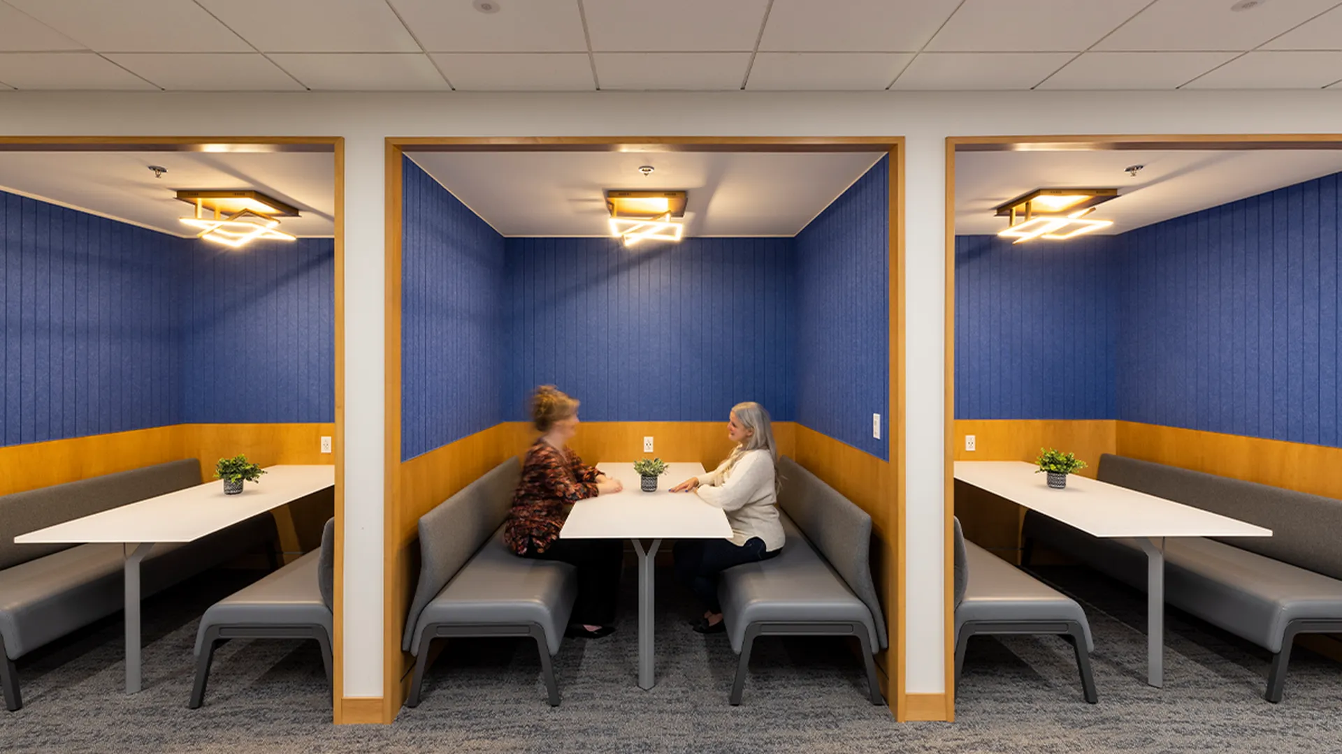 Project: John Snow, Inc. | Product: Groovy Panels 3.0 | Color: Coronet