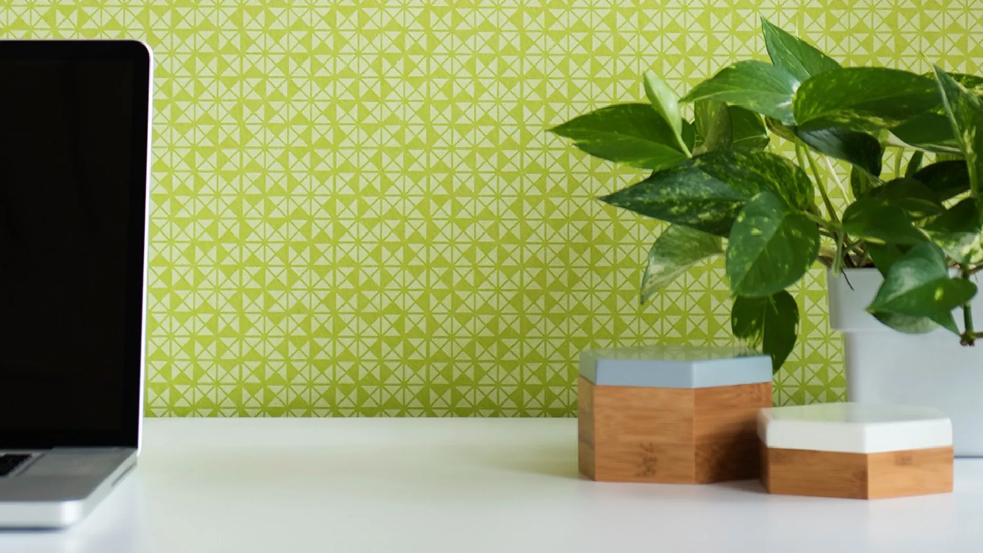EchoPanel Print Panels | Print: Trio 381